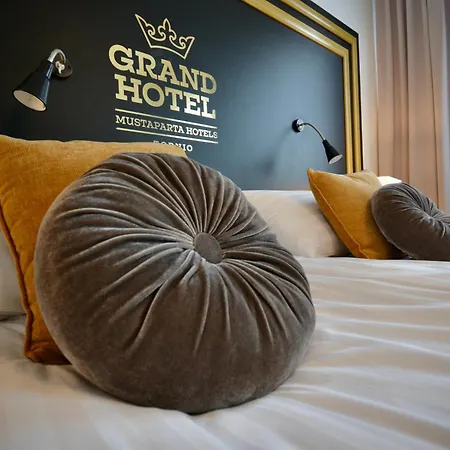 Grand Mustaparta فندق